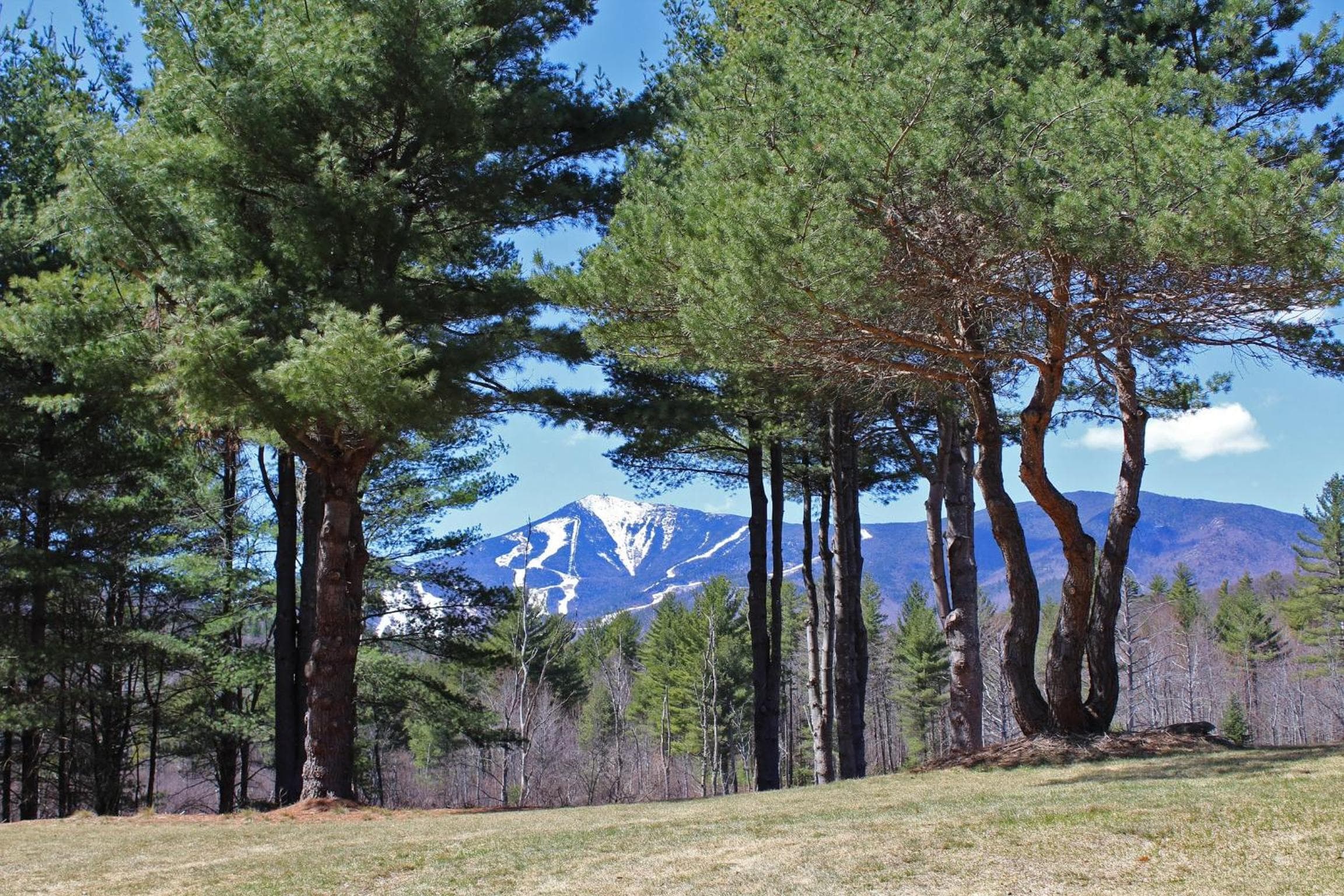 Mountain Home, Views, Near Whiteface, Lake Placid