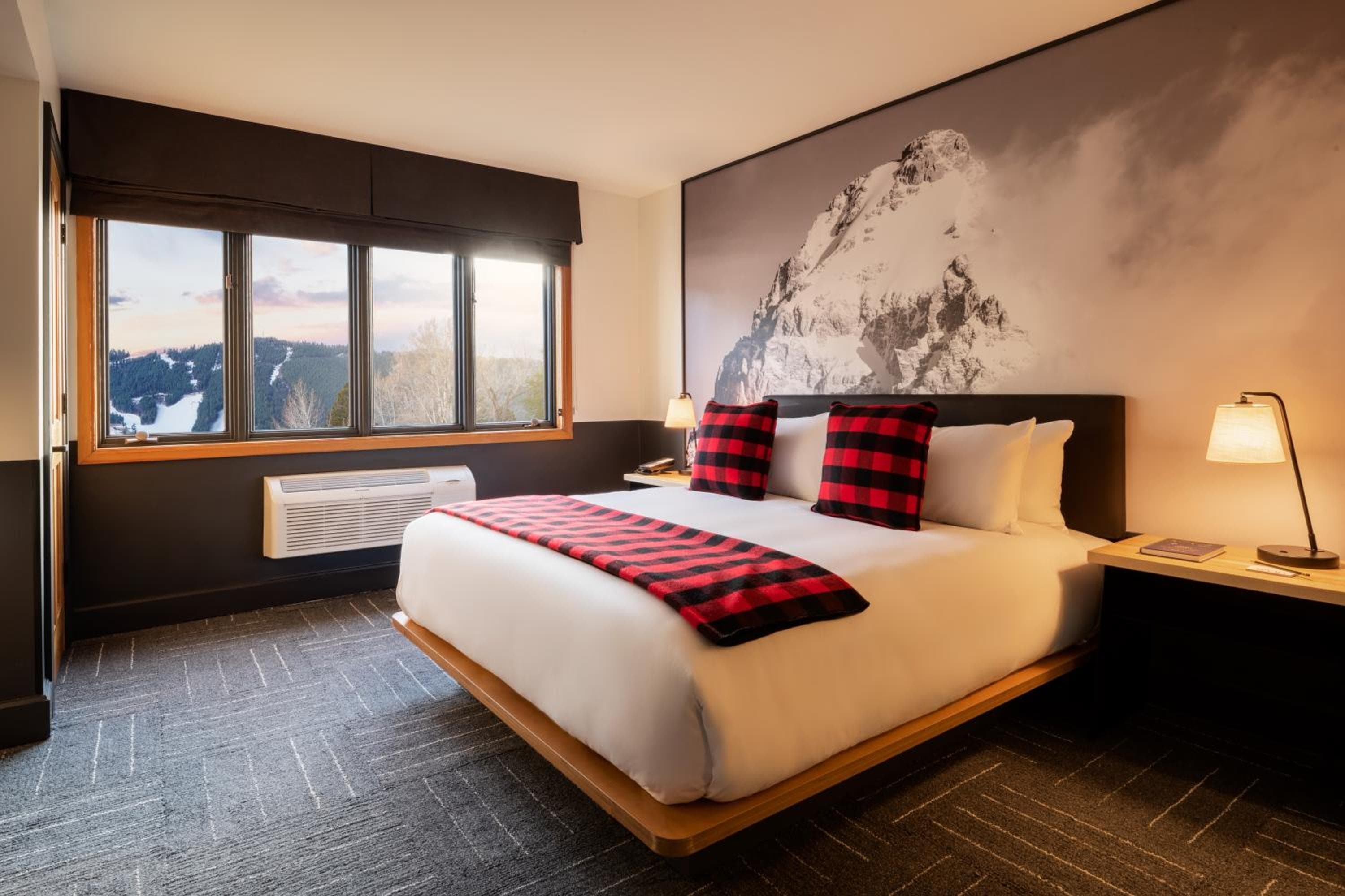 Mountain Modern Jackson Hole