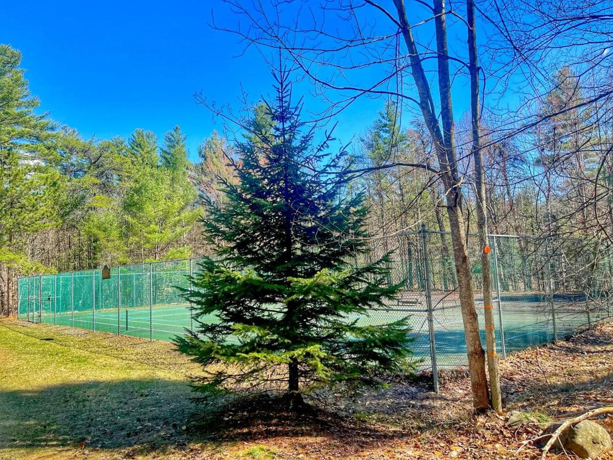 Mountain Retreat in Whiteface, Lake Placid Region