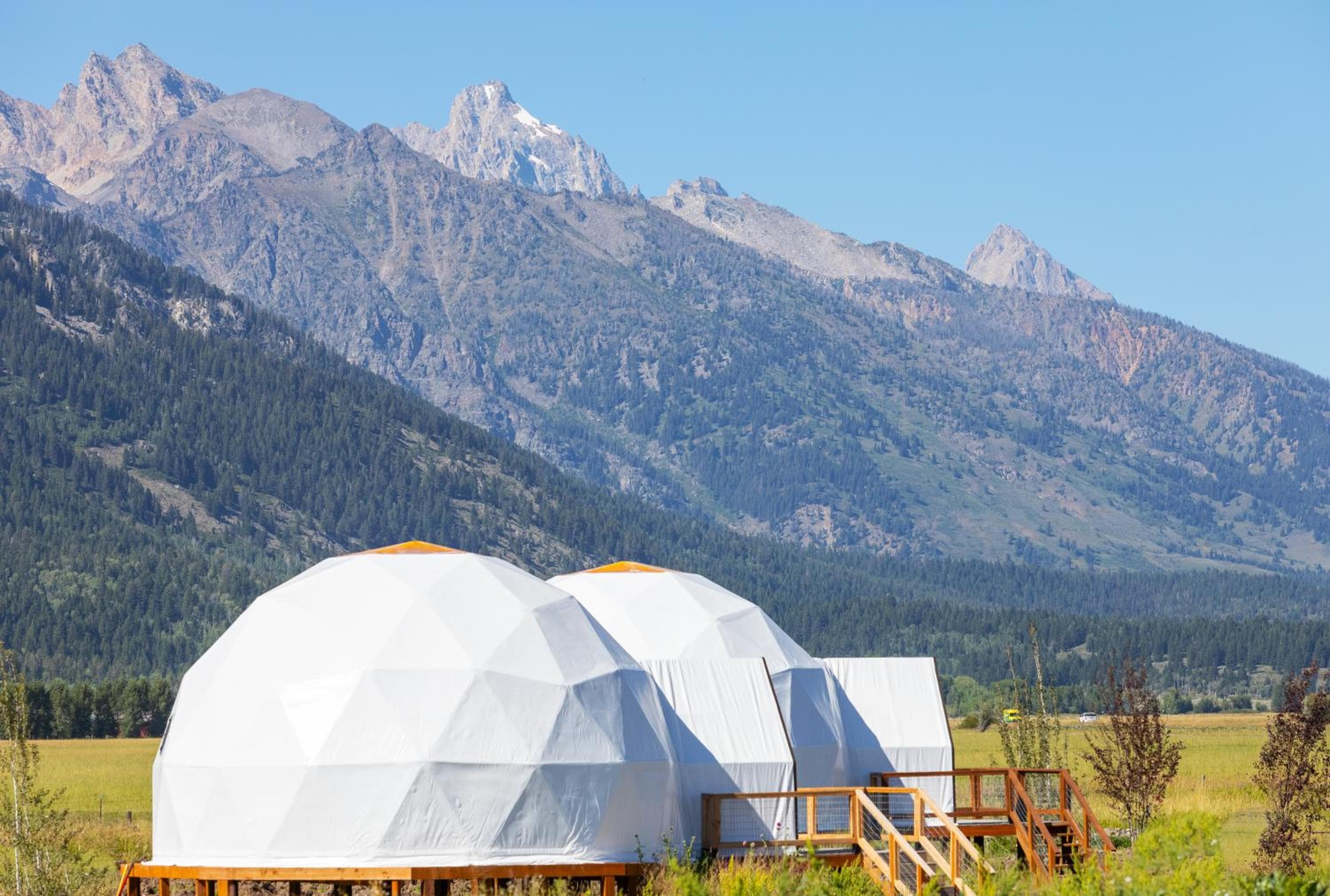 Tammah Jackson Hole