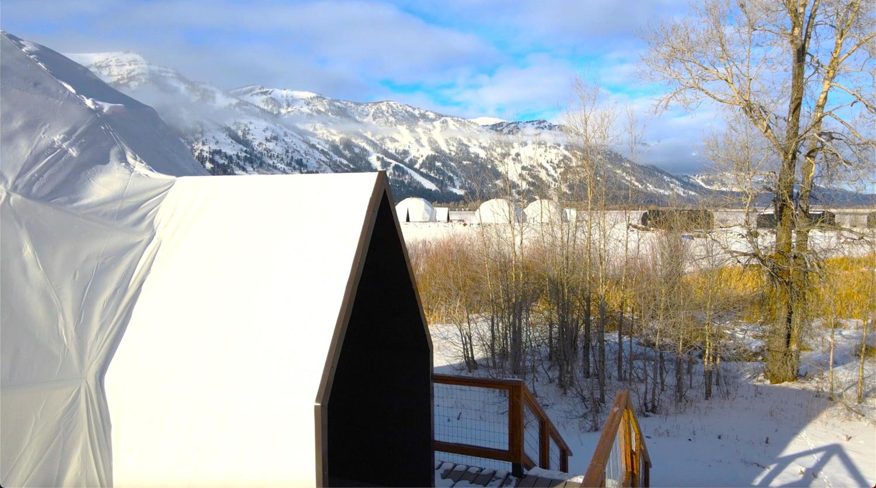 Tammah Jackson Hole