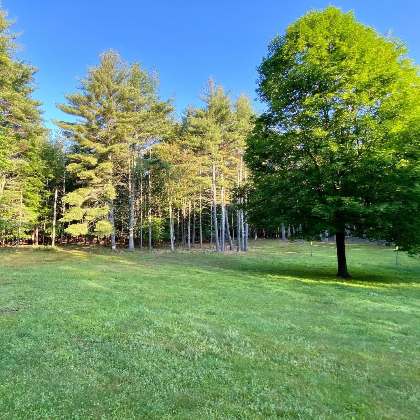 Beautiful Charming Cottage 4 min from Woodstock