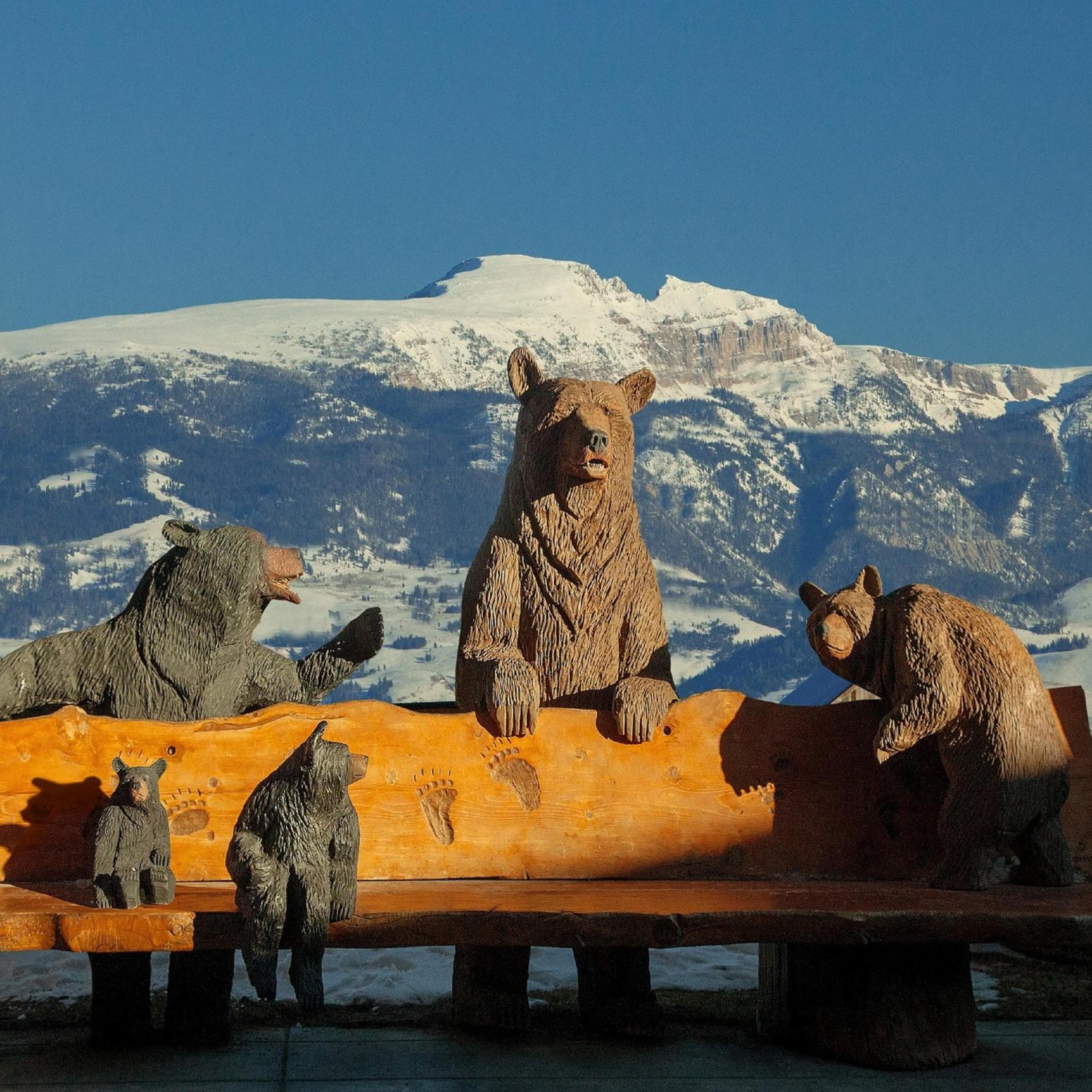 Faraway Jackson Hole