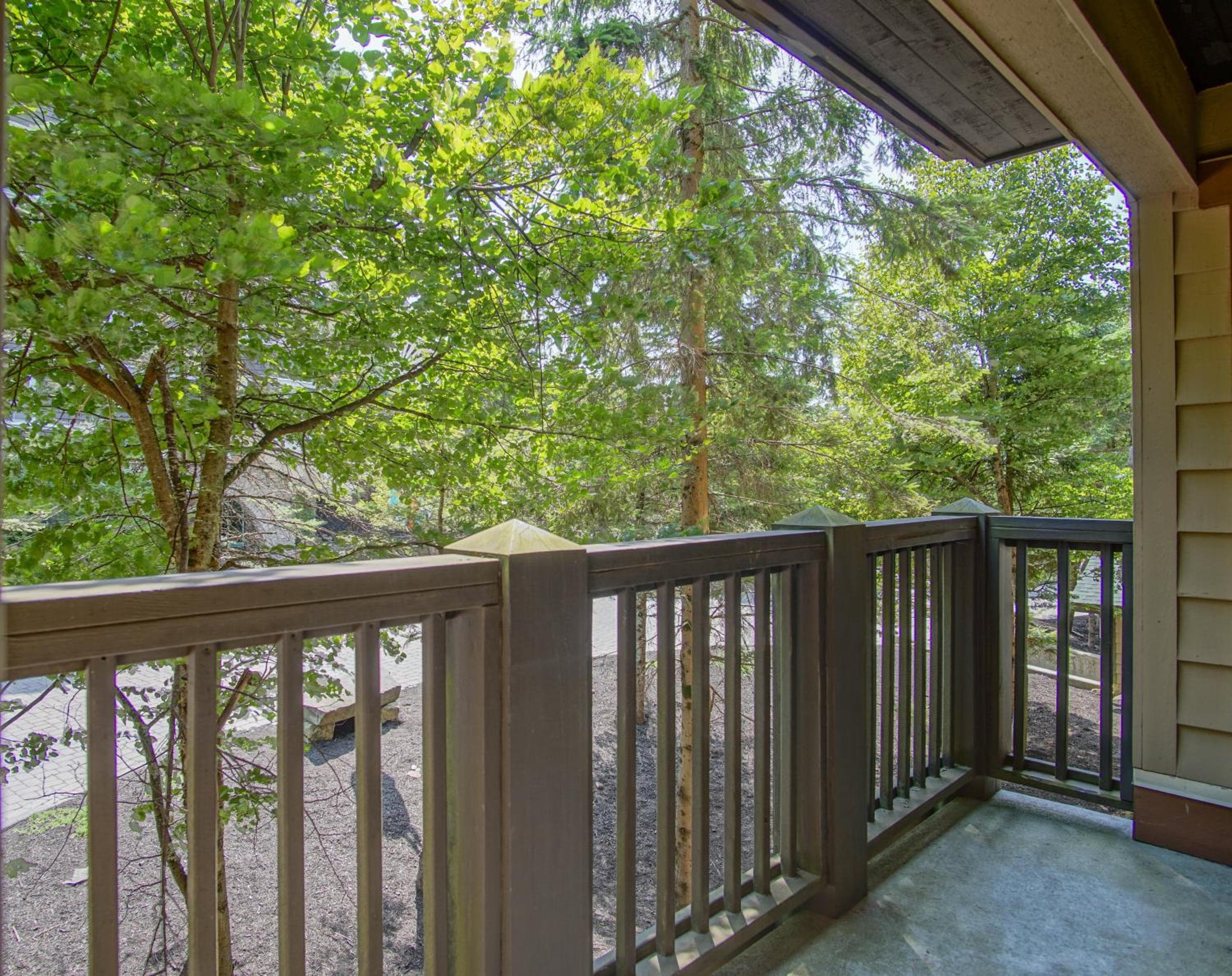 Rimfire 259 : Walking distance to village,slopes, 1 Br Sleeps 4