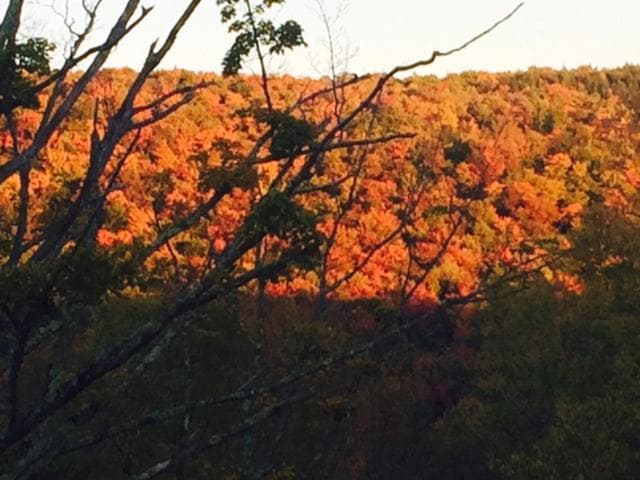 Breezy Hill Inn