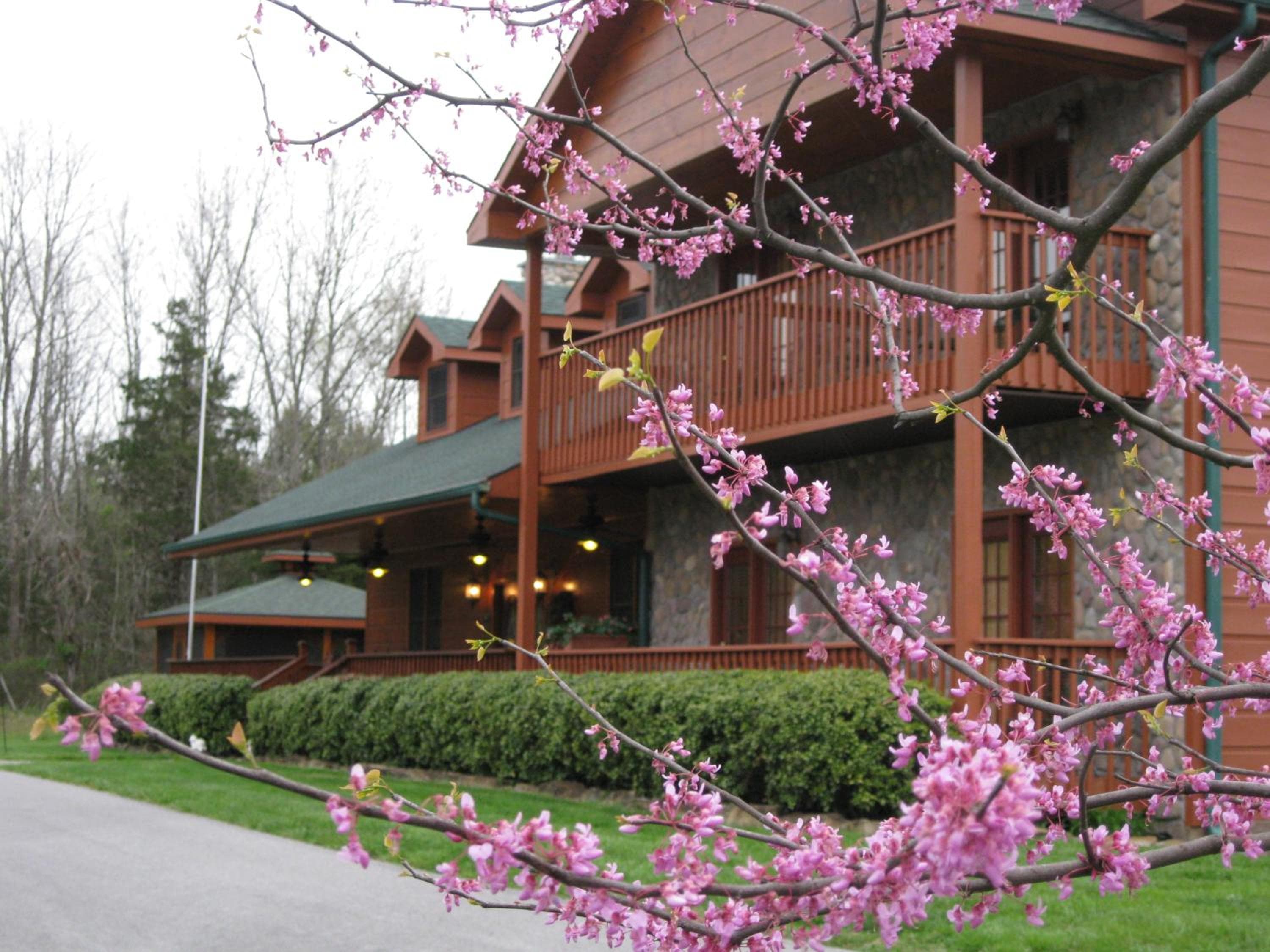 Berry Springs Lodge